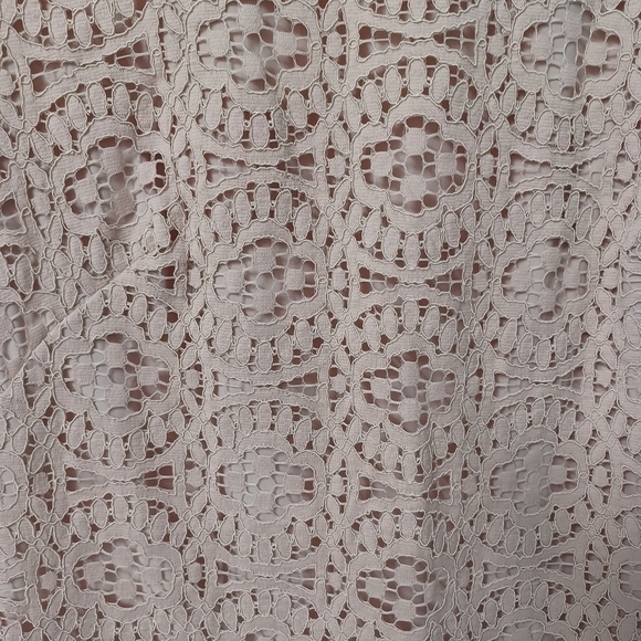 ANN Taylor Blush Lace Midi dress - Picture 4 of 5